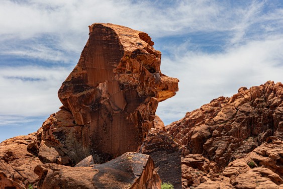 Elefant Rock im Valley of Fire